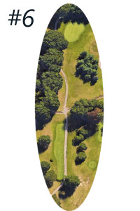 Hole #6 copy
